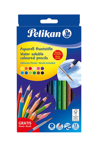 12 crayons de couleurs - Multicolore