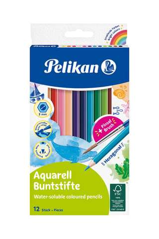 12 crayons de couleurs - Multicolore