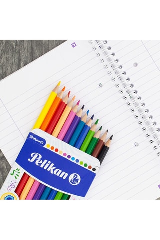 12 crayons de couleur - Multicolore