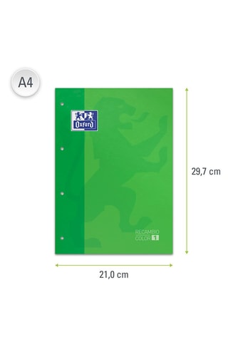 Cahier à spirale - 160 pages - Vert clair - 21 x 29,7 cm