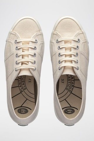 Baskets SUPERGA 1925 - Beige