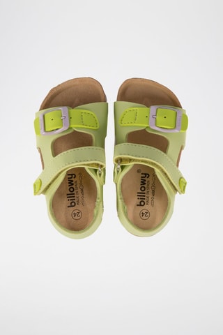 Sandales - Vert et violet