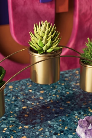 Cache-pots - 40 x 20 x 10 cm - Doré