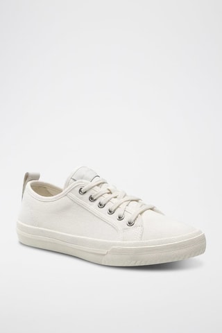 Baskets en cuir Roxby Lace - Blanc
