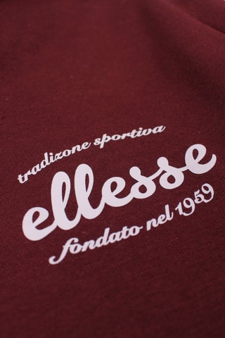 Jersey con capucha Ellesse - Burdeos
