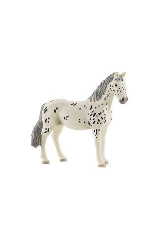 Jument Knabstrupper Horse Club - Dès 3 ans
