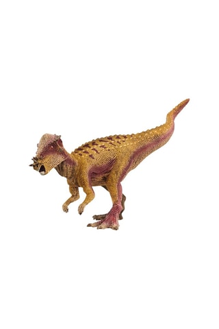 Pachycéphalosaure Dinosaurs - Dès 4 ans