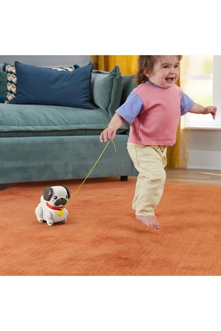 Jouet à tirer Mon carnin à promener Fisher-Price - Dès 12 mois - Modèle aléatoire