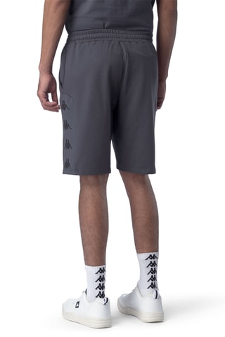 Short regular - Gris
