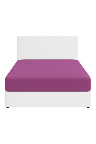 Drap-housse - Violet