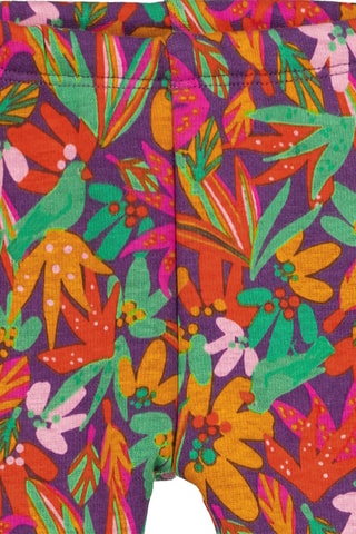 Pantalón - Violeta y verde
