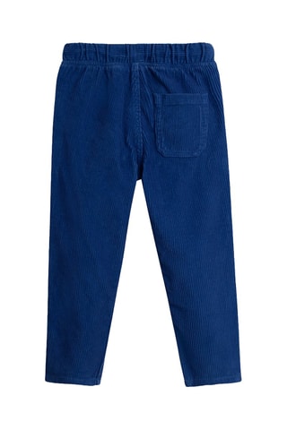 Pantalón de pana - Azul