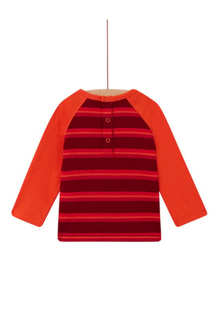 Camiseta - Burdeos y rojo
