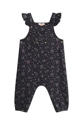 Mono - Negro