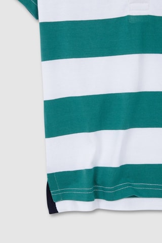 Polo - Groen - Wit, blauw en groen