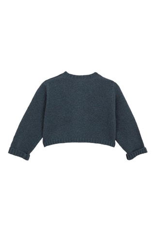 Wollen Vest - Petrolblauw - Blauw