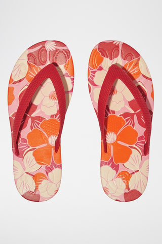 Slippers Iqushion - Rood