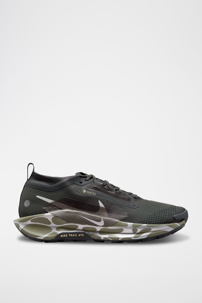 Nike Pegasus Trail 5 GORE-TEX - Antracita