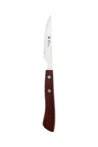 Couteau à steak en acier inoxydable - 10 cm