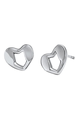 Puces - Argent