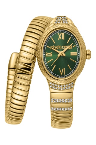 Montre à quartz en acier - Doré et vert