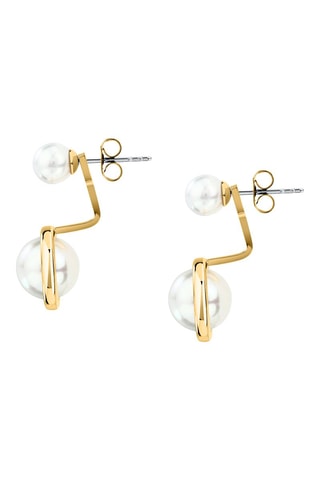 Boucles d'oreilles - Doré et blanc