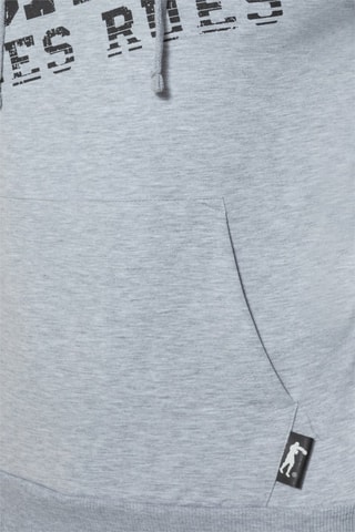 Sweat à capuche - Gris