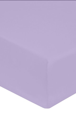 Drap-housse - Parme