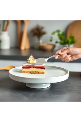 Pelle à tarte en acier inoxydable 18/0 épaisseur 2,5mm Jet Miroir