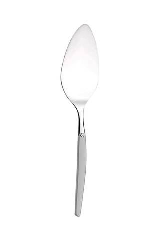 Pelle à tarte en acier inoxydable 18/0 épaisseur 2,5mm Jet Satin