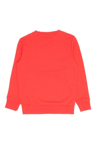 Sudadera - Rojo y azul