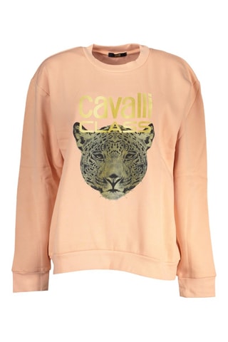 Sweat - Rose - Rose