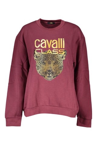 Sweat - Violet - Violet