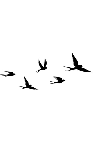 Décoration murale 5 oiseaux - 33 x 22,5 cm - 13,5 x 17 cm - 16 x 10 cm - 23,5 x 15,5 cm - 17 x 10 cm - Noir