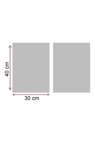 2 tableaux - 30 x 40 cm - 60 x 40 cm