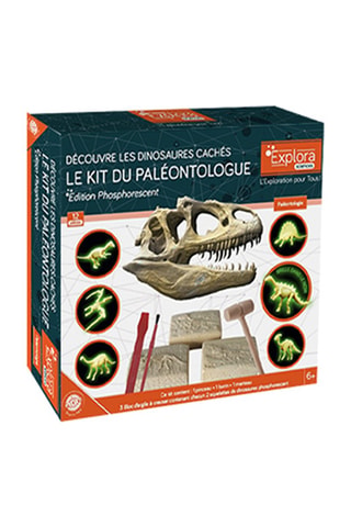 Kit du paléontologue découverte des dinosaures cachés - Dès 5 ans