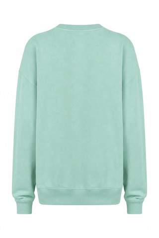 Sweater Bicolor - Lichtgroen