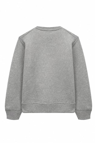 Sudadera Apparel - Gris claro