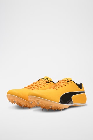 Chaussures d’athlétisme Evospeed - Jaune foncé