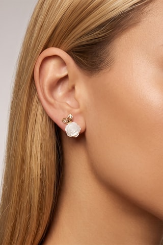 Boucles d'oreilles - Or jaune et nacre