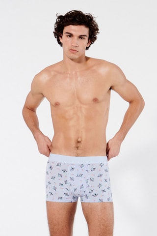 Boxer Repeatiz - Mauve