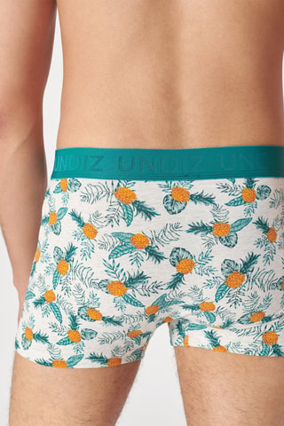Boxer New Katchiz Tropananiz Turquoise