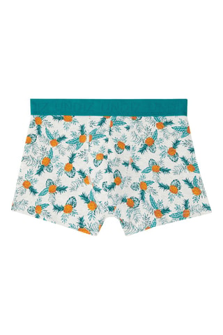 Boxer New Katchiz Tropananiz Turquoise
