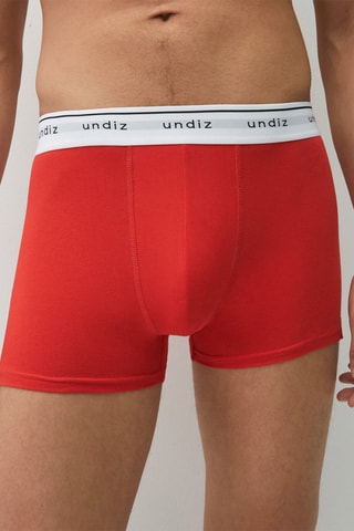 Boxer Boxeruniz Rouge