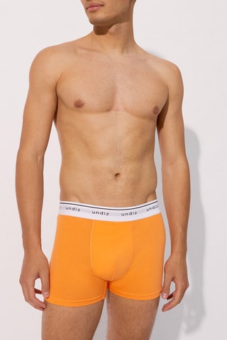 Boxer Boxeruniz - Moutarde