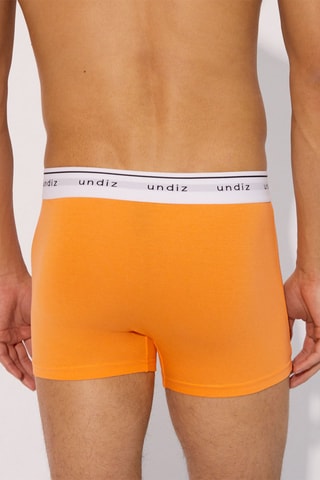 Boxer Boxeruniz - Moutarde