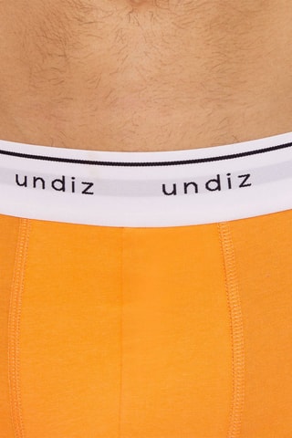 Boxer Boxeruniz - Moutarde