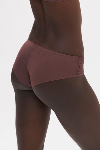 Shorty Embleme - Marron