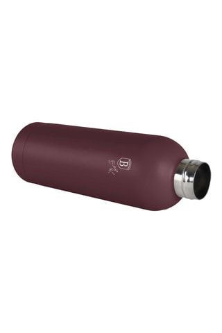 Bouteille isotherme en acier inoxydable Leonardo - 50 cl
