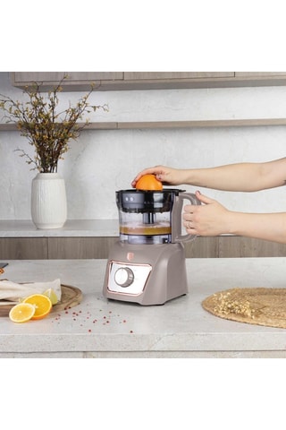 Robot de cuisine en acier inoxydable Taupe - 500 W - 2 vitesses - Doré, argenté et gris